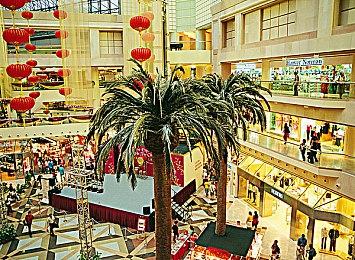 香港任天堂官网公布新消息 多款新作支持中文